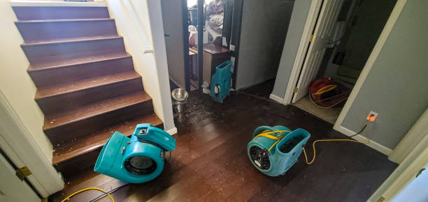 Best Water damage restoration near me  in Hondo, TX