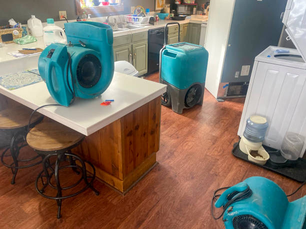 Best Water damage restoration cost  in Hondo, TX