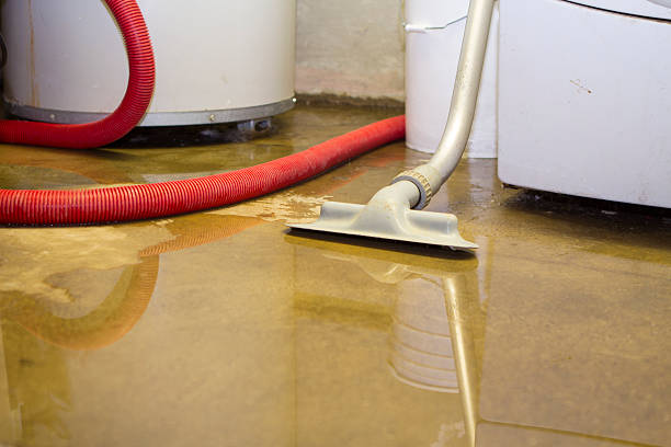 Best Water damage cleanup near me  in Hondo, TX