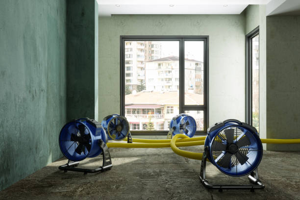 Best Water damage contractors near me  in Hondo, TX